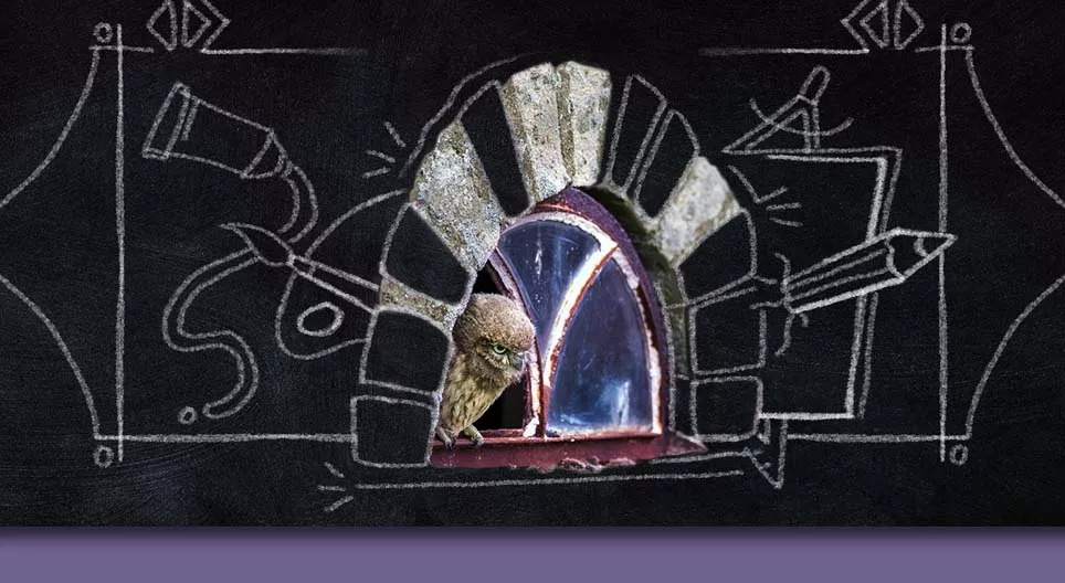 Еднаква ли е формата на прозорците?