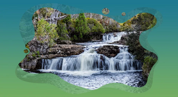 Микроорганизмите на водния свят