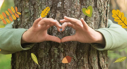 Биоценоза на гората