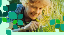 Биоценоза на равнината