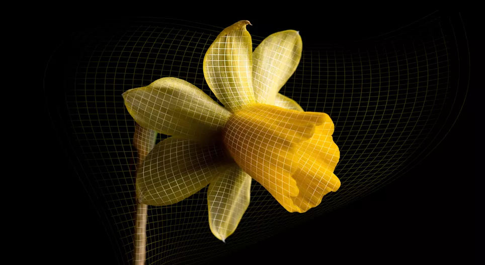 Тайните на разширяващата се вселена