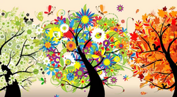 Какво представляват сезоните?