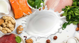 Белтъчините, основни елементи на човешкото тяло