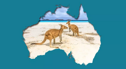 Екологични проблеми в земите на кенгуруто