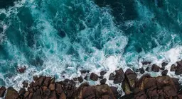 Какви характерни движения извършват водите на океана?
