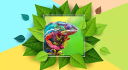 Кой най-добре си сменя цвета?