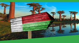 Да отидем в Мадагаскар!