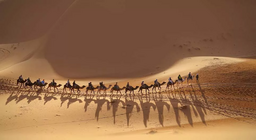 Присъедини се
към кервана!