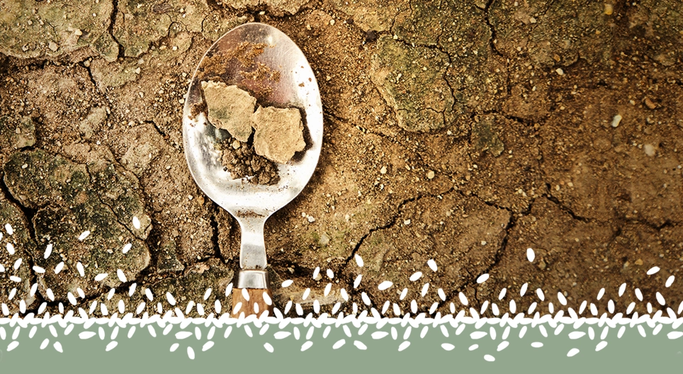 Глобална хранителна криза