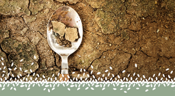 Глобална хранителна криза