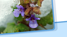 Агрегатно състояние, преминаване от едно състояние в друго