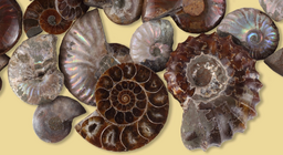 Универсален строителен елемент на тялото и сградите