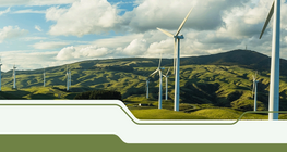 Природни ресурси на Съединените американски щати