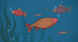 Пият ли вода рибите?