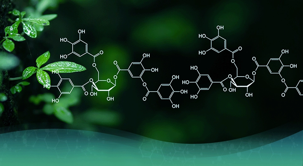 Развитието на органичната химия