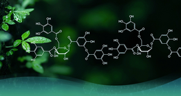 Развитието на органичната химия
