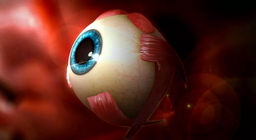 Как виждаме? Човешкото око