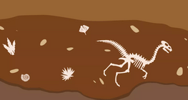 Как се развива животът на Земята?