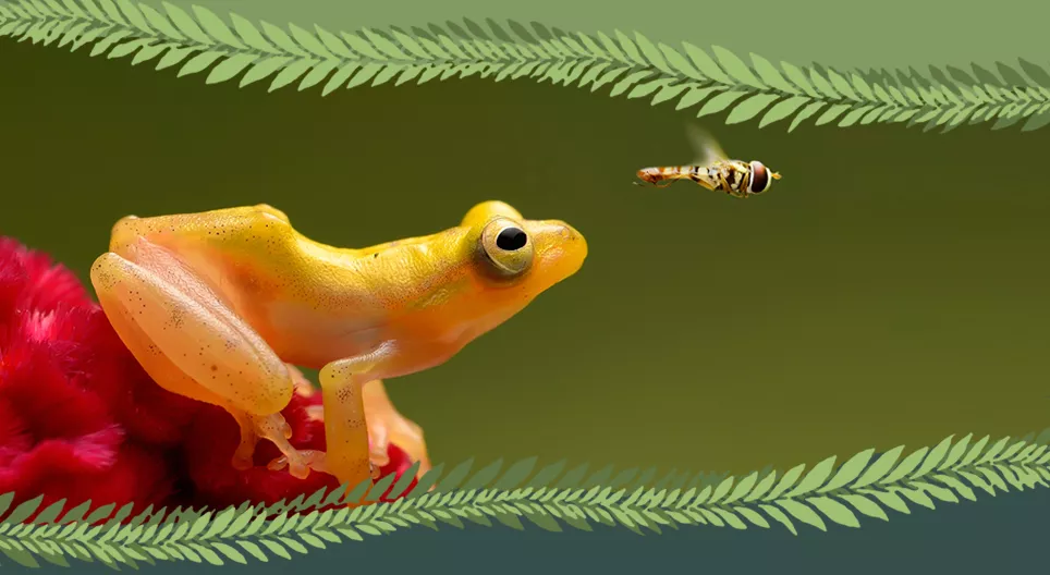 Гръбначни или безръбначни?