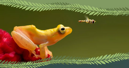 Гръбначни или безръбначни?