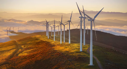 Как да оползотворим енергията на вятъра?
