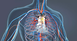 Двигателят на човека