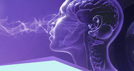 Сензори и рецептори