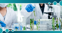 Обратна осмоза