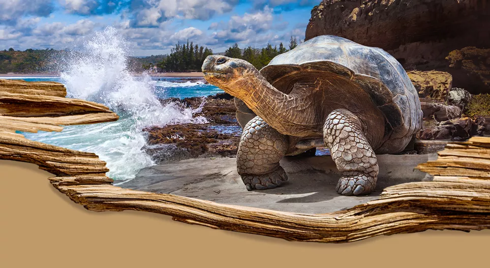 Най-дълго живеещите организми на Земята