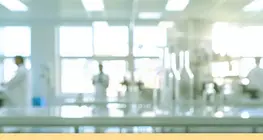 Changes of state of ideal gases