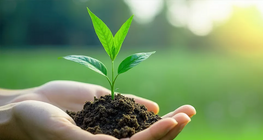 Къде започва животът?