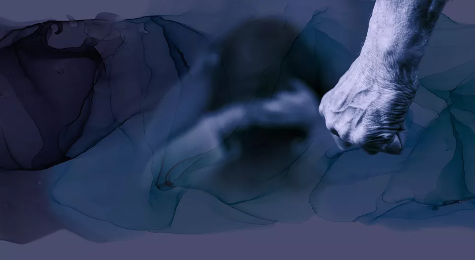 Домашно насилие