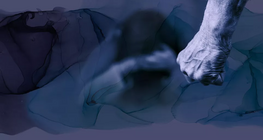 Домашно насилие