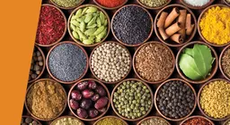 Хиляди вкусове на езика?
