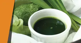 Цветът на листата