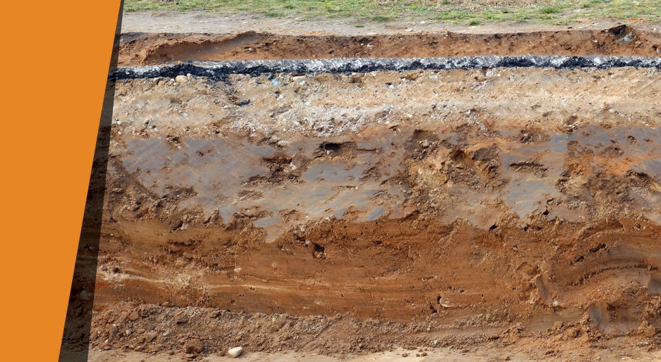 Жадната почва