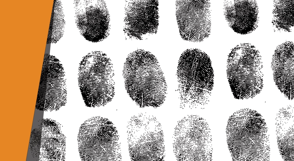 Кой направи това?