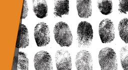 Кой направи това?