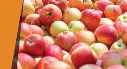 Ябълка с дъх на бадеми