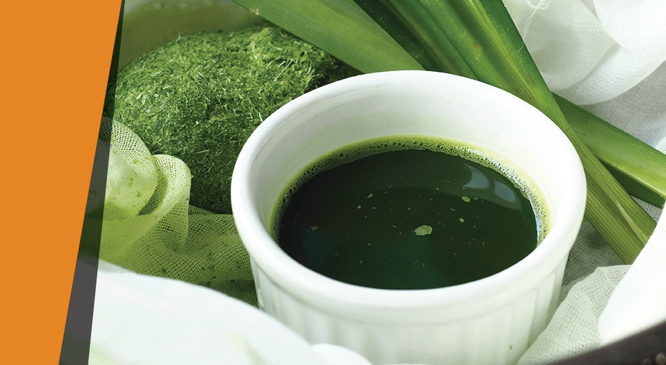 Цветът на листата