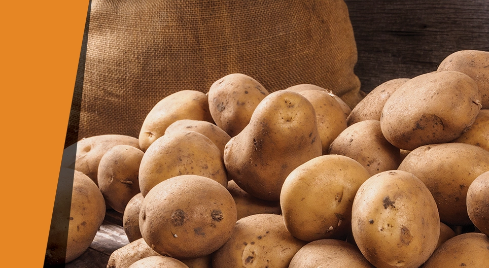 Картофен катализатор