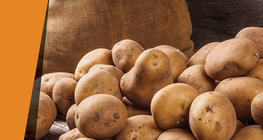 Картофен катализатор