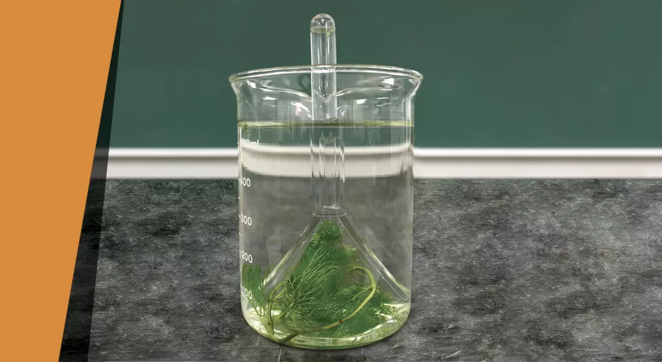 Домашно приготвен кислород