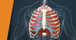 Поемете дълбоко въздух