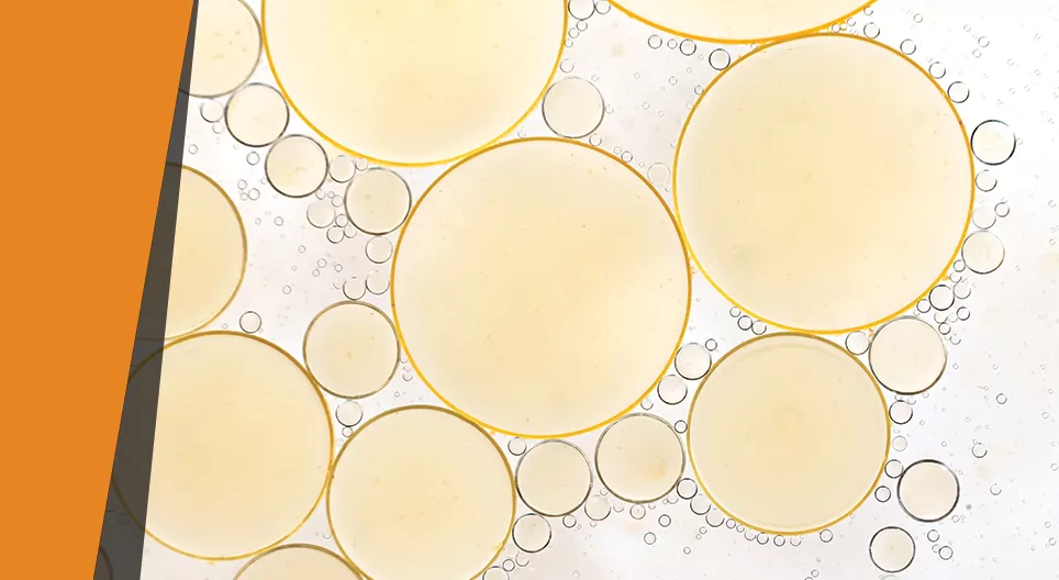 Чезнещи мазнини