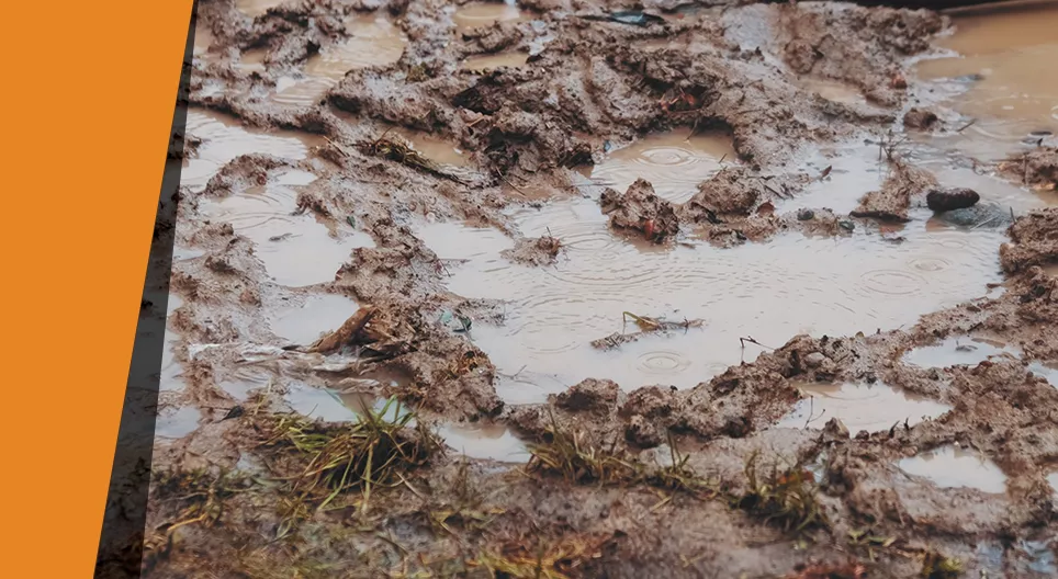 Домашен пречиствател на вода