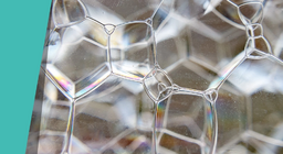 Домашна дъга