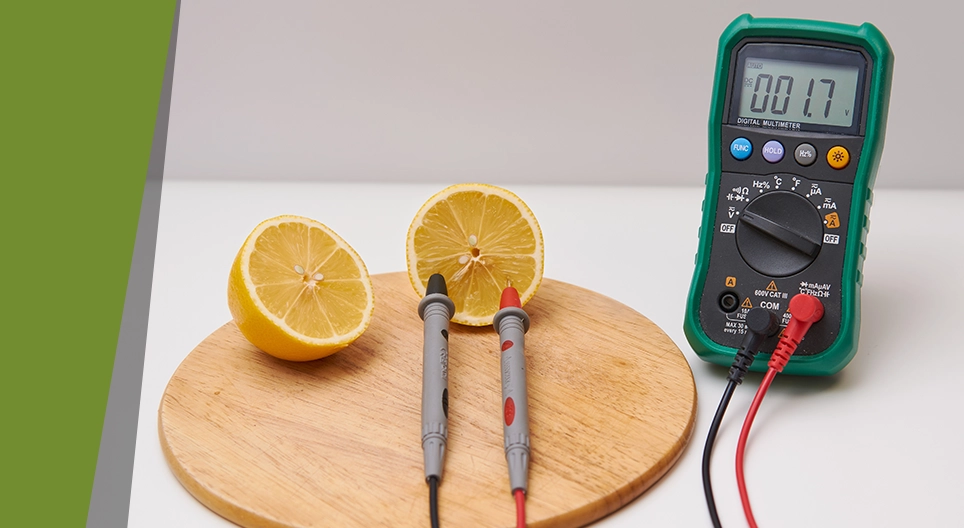 Плодови батерии