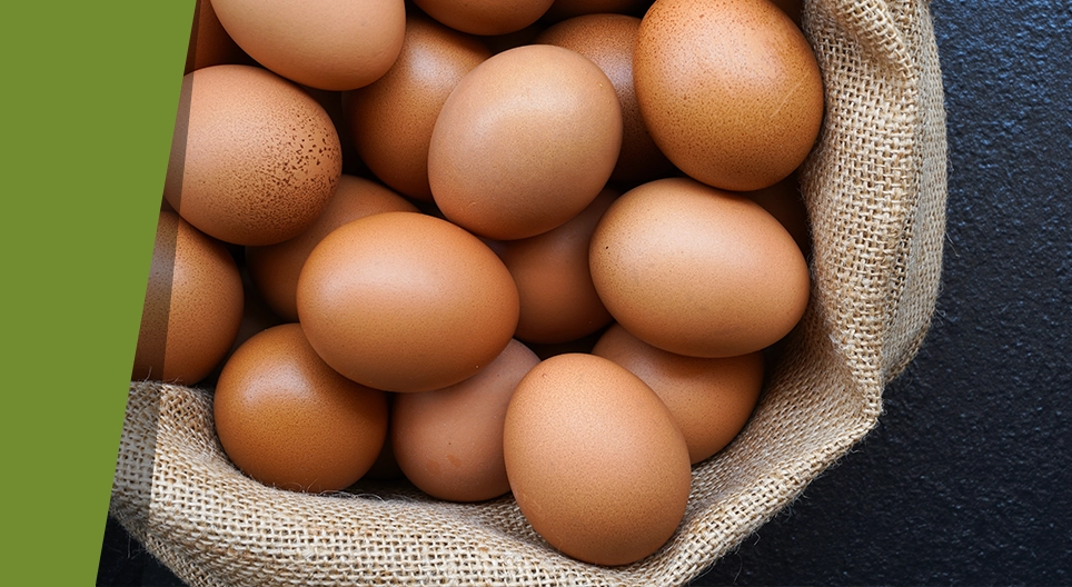 Белене на яйце