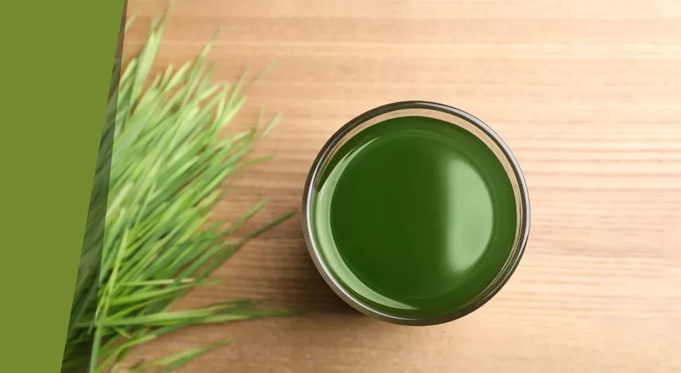 Тайните на тревната супа